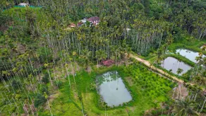 Wayanad Palm Grove Retreat G Floor - Image 3