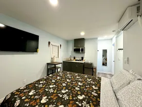 Brand New Beautiful Studio w/ Free Parking - Image 5