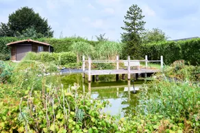 VILLA ARCADIA - Piscine - Spa - Sauna - Cinéma - Jeux d'arcades - Jeux vidéo - Bassin naturel - Jardin - Image 3