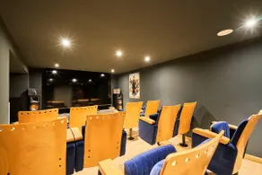 VILLA ARCADIA - Piscine - Spa - Sauna - Cinéma - Jeux d'arcades - Jeux vidéo - Bassin naturel - Jardin - Image 4