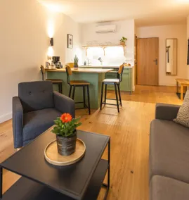 Studio-Apartment opposite ”two plus sofa bed” - Image 4