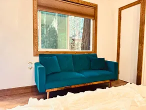 Adorable Lodge room with hot tub - Image 4
