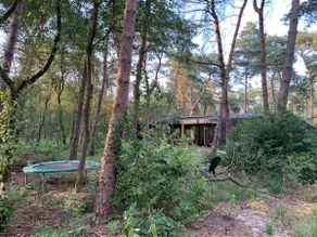 Wonderful nature house in the middle of the forest (max 6p) - Image 5