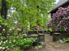 Log Cabin - Image 2