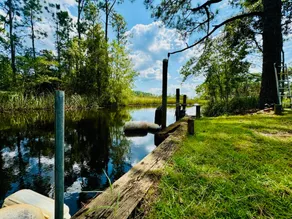Little Pelican on the Bayou - Image 2