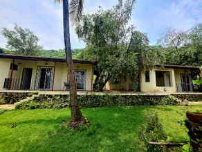 Pauline's Place - Image 5