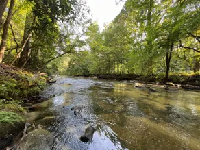 River Retreat at Stone Mountain - Image 5