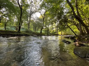 River Retreat at Stone Mountain - Image 4