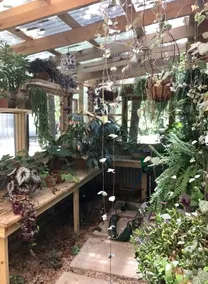 Artist's Country Retreat Bungalow with greenhouse! - Image 4