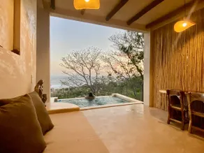 Ocean Views w/private infinity pool/Starlink - Image 2