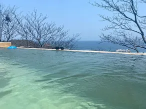 Ocean Views w/private infinity pool/Starlink - Image 4