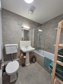 Entire Apartment in Dublin - Image 4
