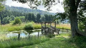 Room Erna on the Grandsberg - Image 5