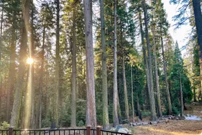 Fall Foliage Getaway • Cozy Cabin Retreat - Image 5