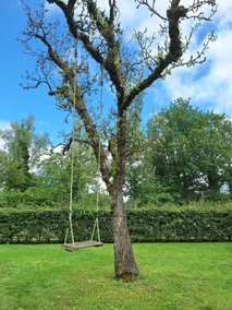 Guesthouse 't Voorhuis - Image 3