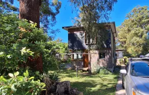 Surfing Parrot - Holiday Villa - Image 3