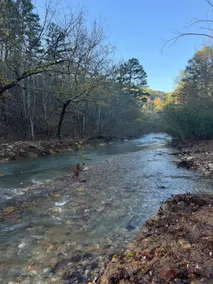 Mine Creek Retreat Wolf Pen Gap - Image 4