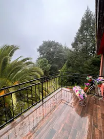 House in the woods - Image 2