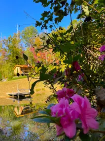 Quiet Cabin in the Woods – Couples Escape - Image 5