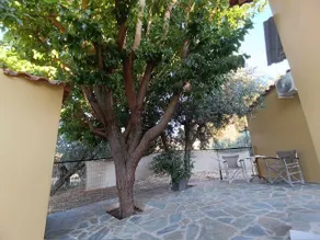Terpno apartment - Image 4