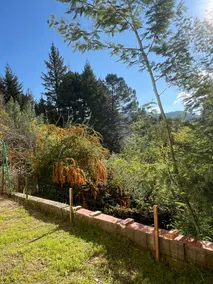 Nature lodge: peace and serenity - Image 2