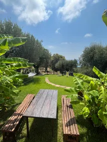 Marina di Camerota, summer 2023 Offers! - Image 2