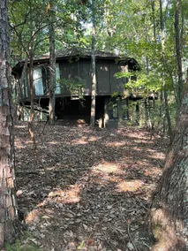 ”Peace in a pod” Charming cabin - Image 5