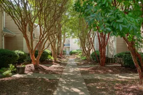 Charming 3BR, 2BA in Central Williamsburg! - Image 4