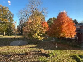 Private Carriage house in KY - Image 5