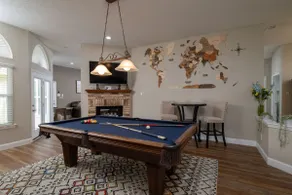 Pool, Pool Table, Board Games + Butterfly Garden - Image 2