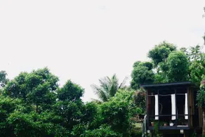 Nicey Farms Forest Bathing Sanctuary - Image 5