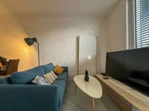 Studio in the top of Lausanne 20 - Image 5