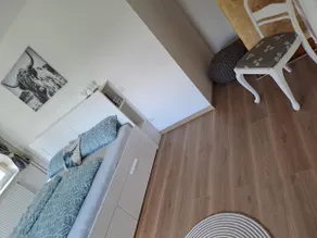 Renovated apartment - Image 4