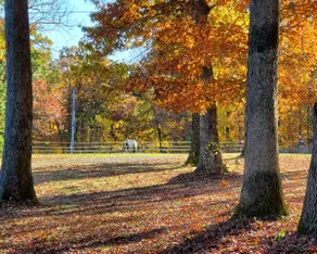 Fine Art House - Hershey, Gettysburg, Lancaster - Image 5