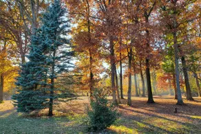 Fine Art House - Hershey, Gettysburg, Lancaster - Image 3