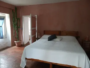 Small suite with terrace between wood and lake - Image 4