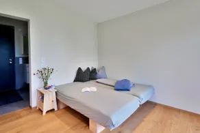 Studio with a view, your retreat in the mountains - Image 5