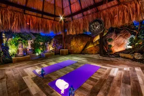 Bali Retreat Aruba -2 Pools,Cinema,Yoga,Cave - Image 4