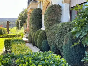 El Espinal Farm - Image 3