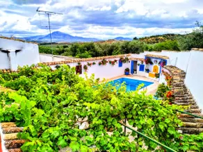 The Andalusian Patio - Image 3