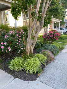 Charming Cambridge Home and Garden - Image 2