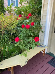Charming Cambridge Home and Garden - Image 3