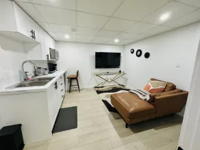 Private Basement Suite - Image 5