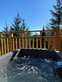 Catkin Lodge with Hot Tub - Image 4