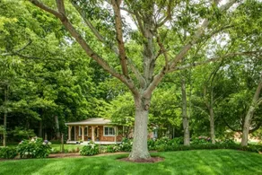 Lewes Carriage House /Salt Water Pool/Spa Hot Tub - Image 4
