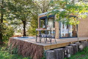 The Hexagon under the Lime Trees - Image 4