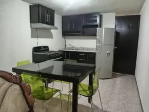 Full Apartment-Dinosaur, Vega, Mountain, Ojo Agua - Image 4