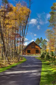 Modern Rustic Cabin-Includes Pontoon Boat & Sunsets on Fantastic Lakeside Porch! - Image 4