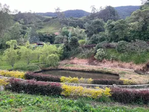 The Posada la Gleba Sanctuary - Image 3