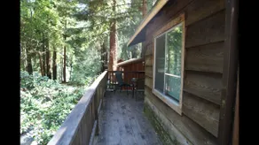 ”Riverstone” Cabin |River Access| In Redwoods WiFi - Image 2